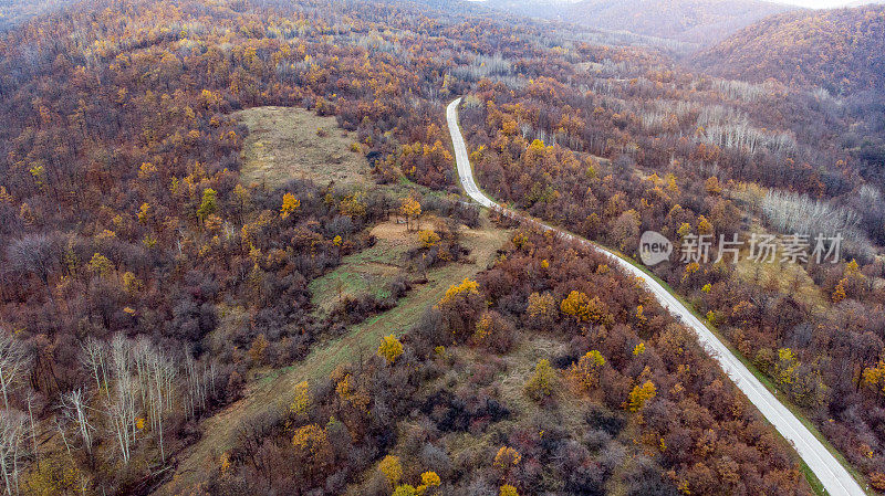 Crni Vrh -飞过空旷的秋天道路，明亮的树木在绿色，橙色和红色的色调-俯视图在塞尔维亚东部明亮的秋天颜色的森林- 4K无人机拍摄